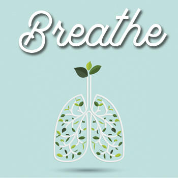Breathe, an online Bible study
